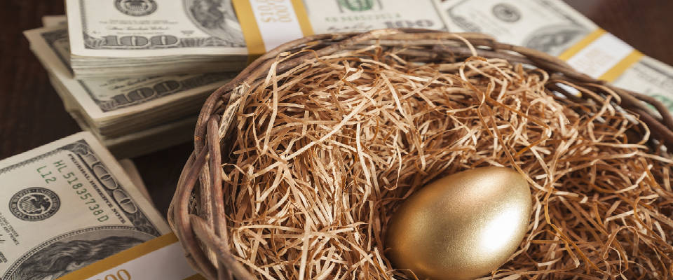 Golden egg in a nest surrounded by money